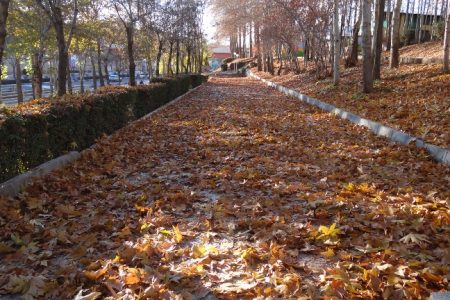 جشنواره بزرگ پاییز هزار رنگ در گرگان برگزار می شود