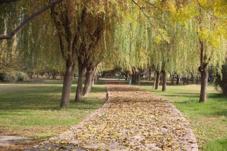 پاییزگردی شهروندان منطقه ۱۵ در بوستان های جنوب شرق تهران