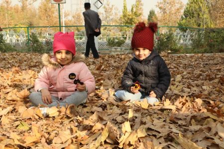 فرش هایی از جنس برگ پاییزی در بوستان های منطقه ۱۳ تهران