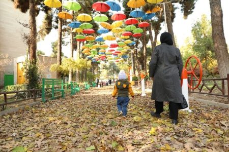 آغاز  عملیات هرس بیش از ۵۰ هزار اصله درخت در  منطقه ۱۳ تهران