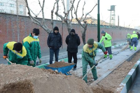 کاشت ۱۲۰۰ اصله نهال در حاشیه بزرگراه شهید دوران