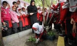 آموزش کاشت و نگهداشت گیاهان به دانش آموزان مدارس تهران