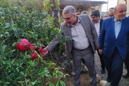 معاون وزیر کشور: برنجکار شمالی نباید متضرر شود