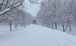 ۱۶ شهرستان ایران پذیرای برف می‌شوند