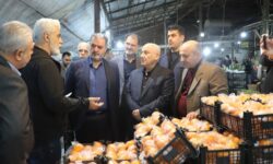 بازدید صبحگاهی استاندار مازندران از میدان میوه چالوس