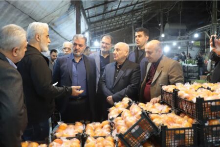 بازدید صبحگاهی استاندار مازندران از میدان میوه چالوس