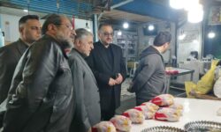 توزیع ۵۳۰ تنی مرغ در مازندران