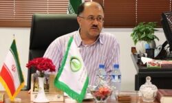 پیش بینی برداشت 20 هزار تن کلزا از  اراضی کشاورزی مازندران+ فیلم