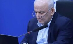 قیمت مرغ در مازندران متعادل می شود+ فیلم