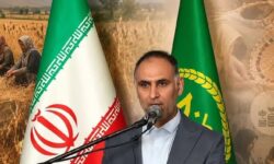 فعالیت ۹۳ صندوق خرد زنان روستایی در مازندران