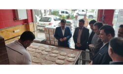 نظارت مستمر بر بازار نور آغاز شد