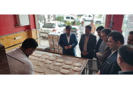 نظارت مستمر بر بازار نور آغاز شد