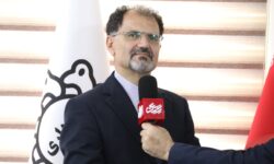 ساماندهی طرح تفضیلی نوشهر با جدیت دنبال می شود