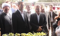 گلوگاه در مسیر برندسازی یک محصول