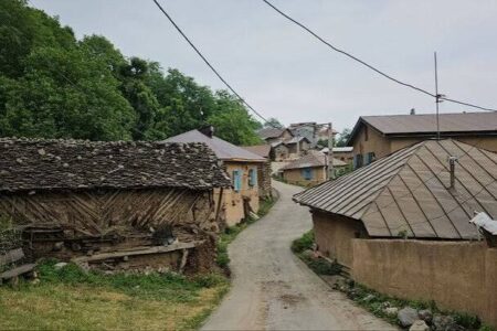 شهرداری های غرب مازندران در معرفی شانه تراش به مردم تلاش کنند